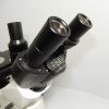 ocular microscópio metalográfico