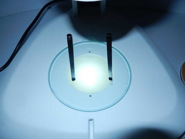 Estereomicroscopio-iluminacao-refletida-e-transmitida