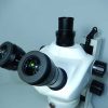 Estereomicroscopio-profissional-trinocular