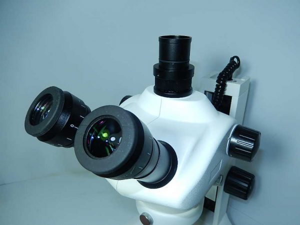 Estereomicroscopio-profissional-trinocular